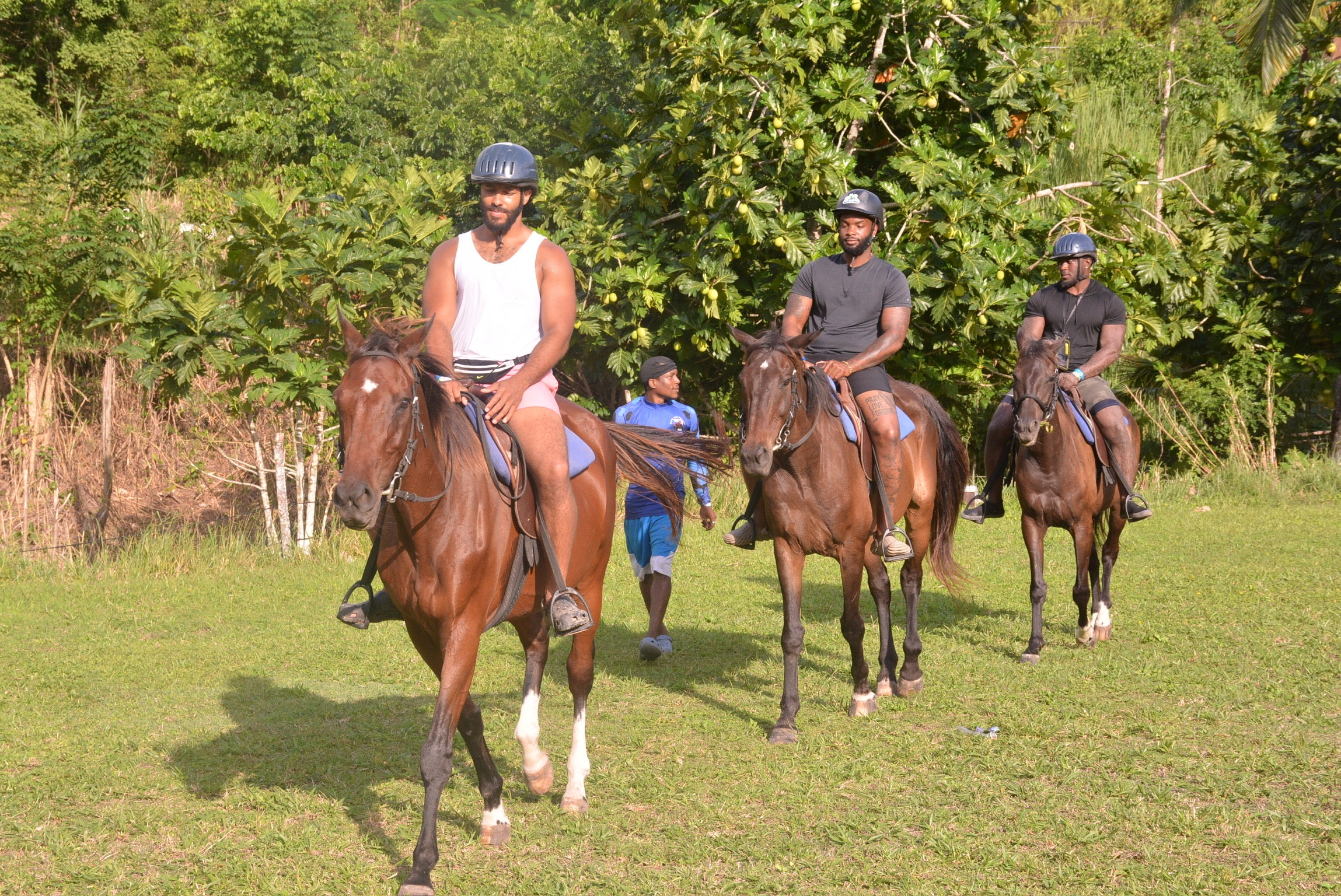 Horseback Riding